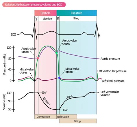 end diastolic pressure